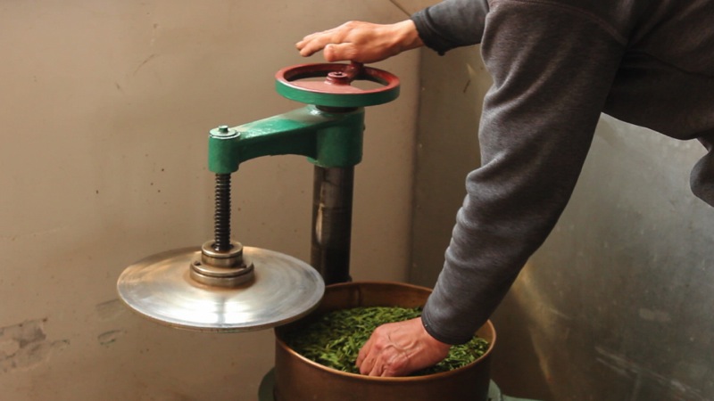 Melatih Kesabaran Melawan Siput